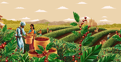 Café Dell'Arabica India