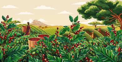  Café Dell'Arabica KENYA